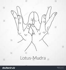 Jun 22, 2021 · pune: Hand In Yoga Mudra Lotus Mudra Vector Illustration Yogic Hand Gesture Mudras Yoga Hands Arm Drawing