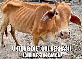 Jelang Iduladha Ini 5 Meme Kocak Hewan Kurban Yang Bikin Ngakak