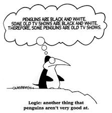 Black And White Fallacy Examples In Politics Penguin Logic Math Humor Logical Fallacies Math Cartoons