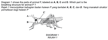 Air hujan berasal dari sumber air di bawah kecuali_. Soalan Latihan Sains Tahun 4 Upsr Online