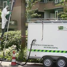 Eikenprocessierups Hoe Lang Hebben We Er Nog Last Van Zorgwijzer