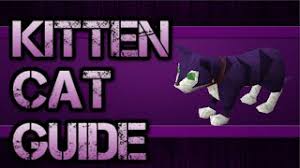 It will not return after it has run away. Osrs Kitten Cat Guide Youtube