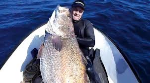 Browse all the jetboat and jetski for sale we have advertised in germany below or use the filters on the left hand side to narrow your search. Daga Fishing Leisure Boating