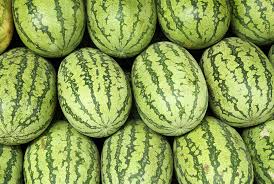 Cross pollination can be seen in the squashes and pumpkins. Carolina Cross 180 Watermelon Premium Garden Seeds Hoss Tools