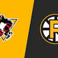 Wilkes-Barre / Scranton Penguins at Providence Bruins event image