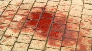 Tres Cantos Asi Se Produjo El Apunalamiento A Un Varon