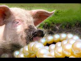 ( matthew 7:6) in biblical times dogs were seldom kept as household pets in the way they are today. Don T Cast Your Pearls Before Swine Matthew 7 6 Youtube