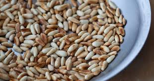We did not find results for: Barefoot Contessa Couscous With Pine Nuts Recipes