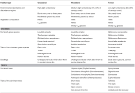Image result for Hyparrhenia newtonii