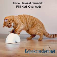 hareket sensorlu kedi oyuncagi kedi oyuncak
