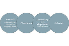Bei der vorausschauenden pflegeplanung werden ihre werte, ziele und vorlieben darüber kommuniziert. Pflegeplanung Software Produkte Fur Die Pflege Standard Systeme