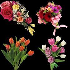 Pin On Roses Gif
