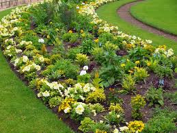 Flowerbed Definition And Meaning Collins English Dictionary