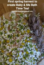 Studies suggest the tea can be used to reduce menstrual pain, treat these flavonoids are a type of nutrient present in many plants, and they play a significant role in chamomile's medicinal effects. Chamomile Lavender Organic Hand Bright Birth Options Facebook