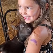 Custom deck cost in Orlando FL today?