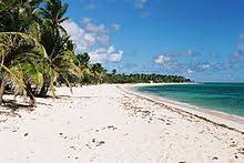 We did not find results for: Capesterre De Marie Galante Wikipedia