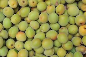 I made this with just apricots for fruit, halving the recipe, as a potluck dessert for a wine luncheon. Japanese Apricot Plum Crop Free Photo On Pixabay