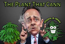 Cannabis? No, just like cannabis 😁 SONY م PLAY STOP DRIVE LKMAN LKMAN