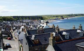 Image result for Cullen