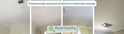 We did not find results for: How To Remove Mould On Bathroom Ceiling Mca