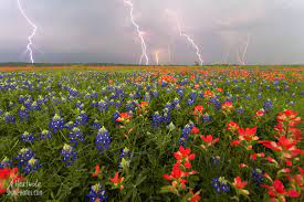 This ensures exceptional product quality and competitive pricing. Electric Spring San Marcos Photos Print Store