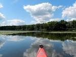 Bark River VI - Miles Paddled