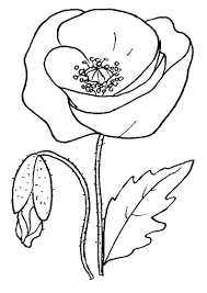 Find the perfect disegni fiori stock photos and editorial news pictures from getty images. 29 Disegni Fiori Da Colorare