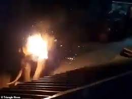 Life's what you make it so make it good. Elephant Is Burned Alive After Thugs Set It On Fire When It Approached A Private Resort In India Duk News