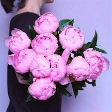 10pcs Rare Peony Seeds Ranunculus Asiaticus Flower Seeds Home Garden Plants Flower Seeds Beautiful Flowers Peonies