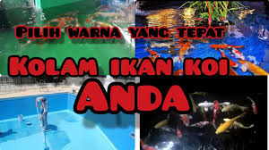 Pilihan Warna Cat Dinding Terbaik Kolam Ikan Koi Youtube