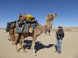 They live in the desert areas of africa and asia. Walking Wanderings Spain Camino Levante 14 Siem Reap 14 Simpson Desert 14 Camino Frances 14 Myanmar By Bike 13 Via De La Plata 13