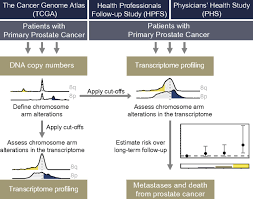 What do the results mean? Aneuploidy Drives Lethal Progression In Prostate Cancer Pnas