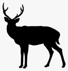 Buck and doe head silhouette. Deer Silhouette Png Images Free Transparent Deer Silhouette Download Kindpng