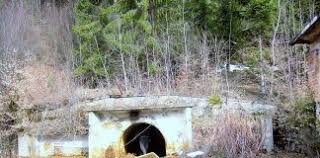 Garda nationala de mediu (gnm) a efectuat, in anul 2019, un numar de 39.429 inspectii in domeniul controlului poluarii si in domeniul biodiversitatii, biosecuritatii si ariilor naturale protejate. Garda De Mediu Maramures 2mnews