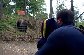 Rezervatia de ursi libearty rezervația de urși zărnești departe de a fi o grădină zoologică, sanctuarul de urşi relevă o parte din viaţa în libertate a carnivorelor mari, tocmai de aceea primeşte. Cu Copilul In Rezervatia De Ursi De La Zarnesti Impresii Si Sugestii Pentru O Vizita Acolo