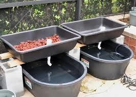 How To Choose The Right Aquaponics Grow Bed For Your System Aquaponics System Aquaponics Diy Backyard Aquaponics