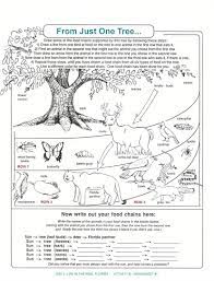 Pin By Novasantoso On Food Web Science Worksheets Food Chain Biology Worksheet