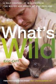 What's Wild: A Half Century of Wisdom from the Woods and Rivers of New  England: Orff, Eric: 9781942155768: Amazon.com: Books