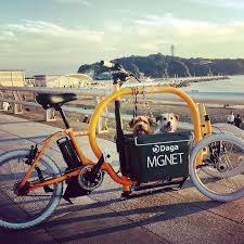 海と犬とカーゴバイク dagastroke カーゴバイク cargobike three wheel bicycle cargo bike bike design