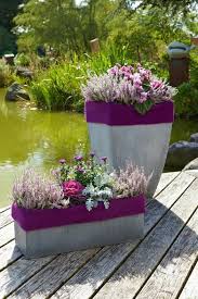 Colour Blocking Und Ton In Ton Heidetrends Container Gardening Plants Container Garden Succulents