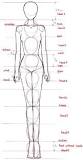 Image result for fashion illustration for beginners