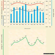 Hortus orchis - Dracula simia
