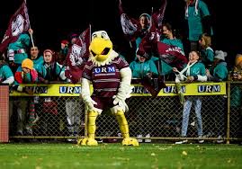 Manly warringah sea eagles supporters online forum, rugby league discussion. Sea Eagles On Look Out For New Mascot Sea Eagles