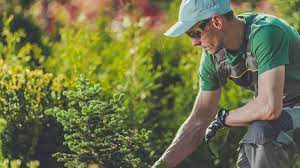 Expert recommended top 3 lawn care services in hamilton, on. Ives Landscaping And Lawn Care Hamilton Montana