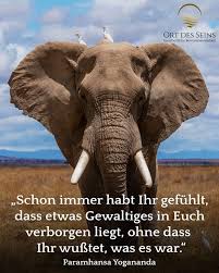 Schon Immer Habt Ihr Gefuhlt Dass Etwas Gewaltiges In Euch Verborgen Liegt Ohne Dass Ihr Wusstet Was Es War Weisheiten Weisheit Des Tages Zitat Des Tages