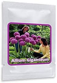Pin Auf Gartengestaltung Ideen