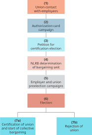 the labor relations process introduction to business