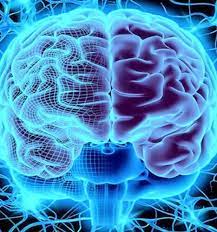 How To Control Your Brain. | The World Of English