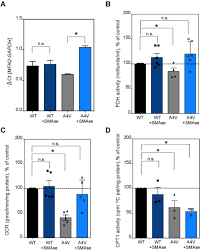Altered MAM function shifts mitochondrial metabolism in SOD1-mutant models  of ALS | bioRxiv