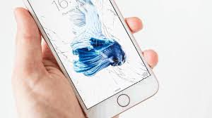 For this method, you will need your device and access to a pc. Fixed How To Trust Computer On Iphone With Broken Screen